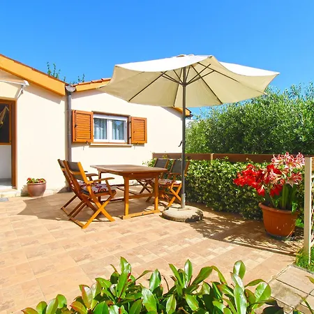 Apartment Munida 734