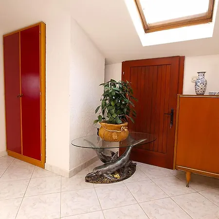 Apartment Munida 734